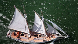 image6 (1).jpeg