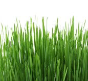 background-16051_1920