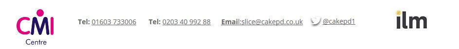 Website Page Footer