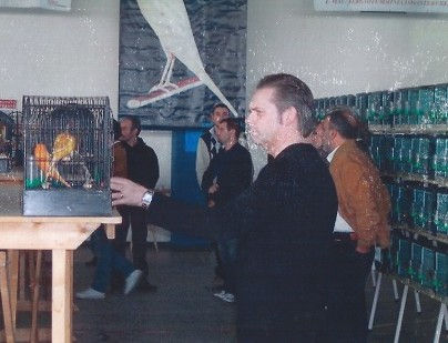 judging page