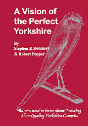A Vison Of The Pefect Yorkshire ( Red promo )