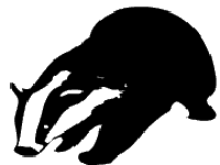 BadgerIcon transparent 2