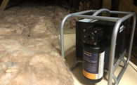 Mouse Pest Control Berkshire