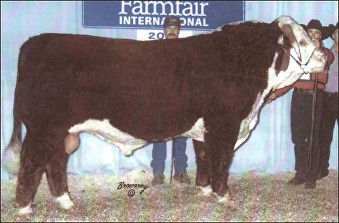 Dunrobin 603 87J