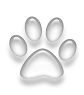 paw icon