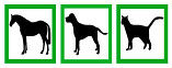 ANIMAL LOGO-landscape boxes only