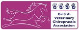 Cropped BVCA LOGO