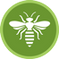 Wasp Nest Treatments