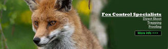 fox Control Crowthorne