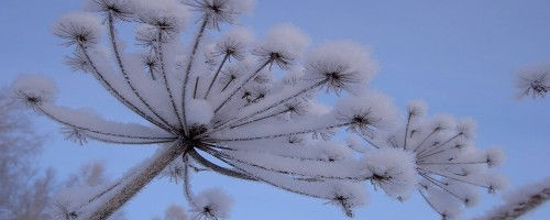 nature-snow-1920x1080-wallpaper-1719142