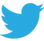Twitter blue large