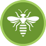 wasp nest removal Berkshire