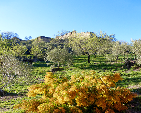 monastery-view