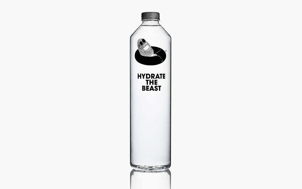 HO_WATERBOTTLE.jpg