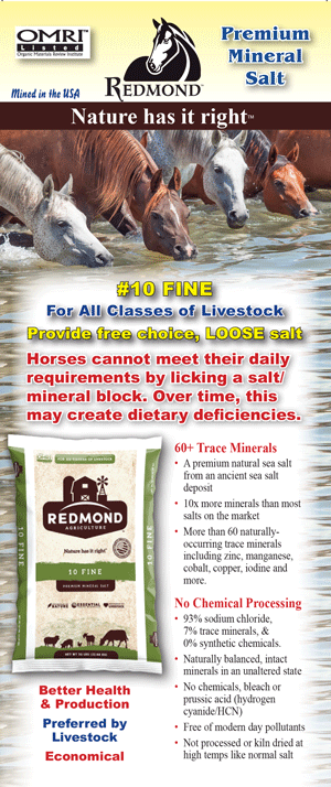 hs 35 redmond organic