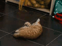 WB4P.gif