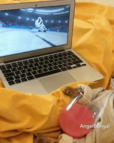 fyB3.gif