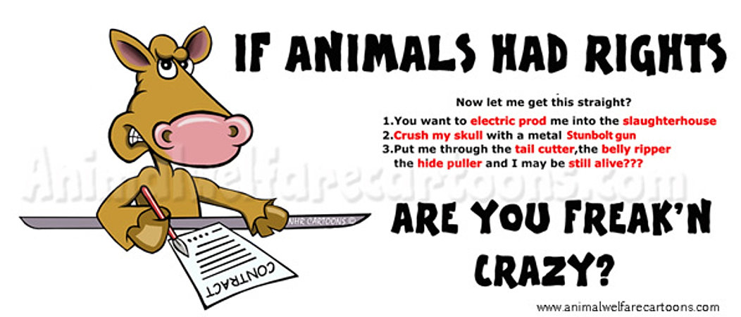 Image result for Animal rights cartoons