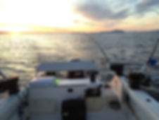 Pursuit 2470 Boat Nanaimo fishing charters