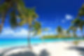 Vacation Blue Caribbean volunteer diving conservation, Bluecaribbeanconservation.org