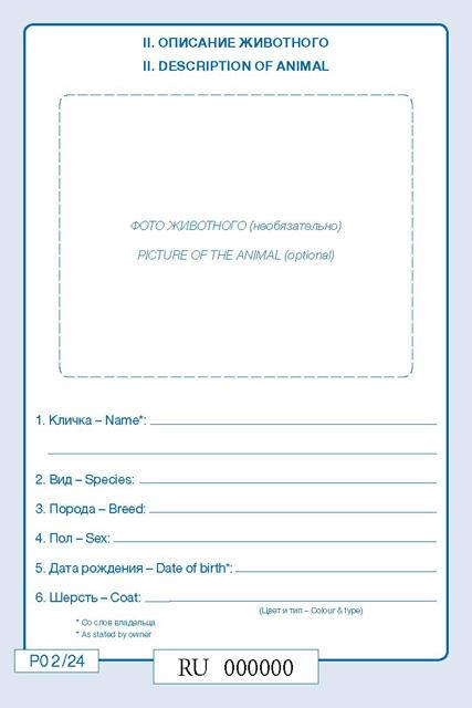 Паспорт для игры своими руками