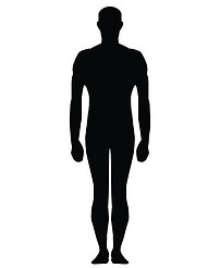 FreeVectorHumanSilhouette.jpg
