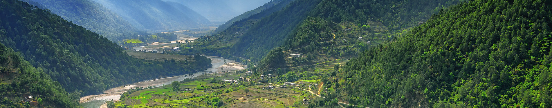 Valley in Bhutan near Punakha with rice