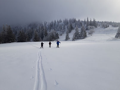 20210110_124128 (Copier).jpg