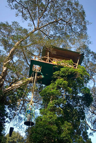 wayanad032.jpeg