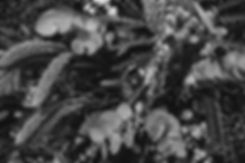 BC-34.jpg