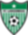 FC_Langenegg.png