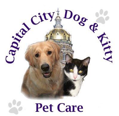 capital city dog amp kitty pet care pet sitting dog walking des moines capital city dog amp kitty pet care pet sitting dog walking des moines