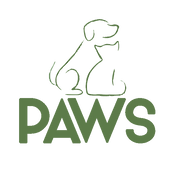PAWS Square 2020.png