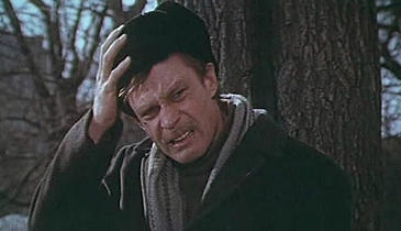 Высший хозсуд защитил «Гамалию» от МАУП