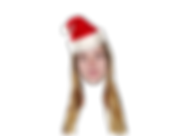 Bloem Christmas Hat los.png