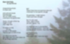 Rain Still Falls 1.jpeg