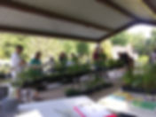 20190824_093550.jpg