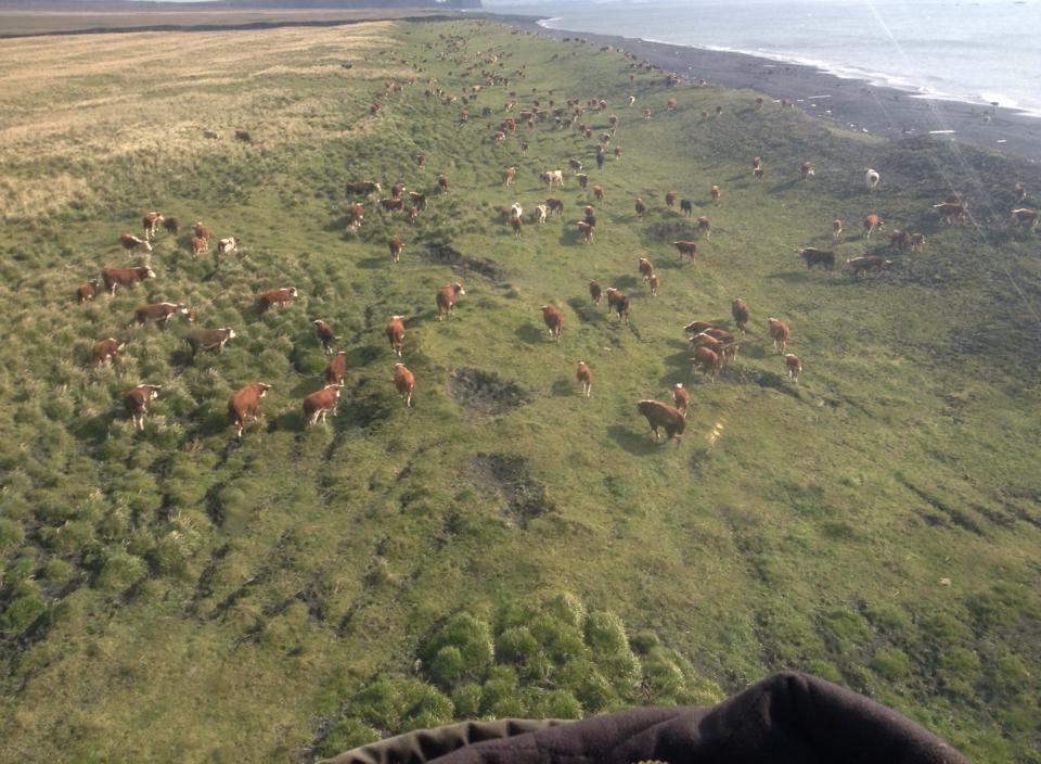 Bering Pacific Ranches Aleutian Islands, AK Icon Global Group