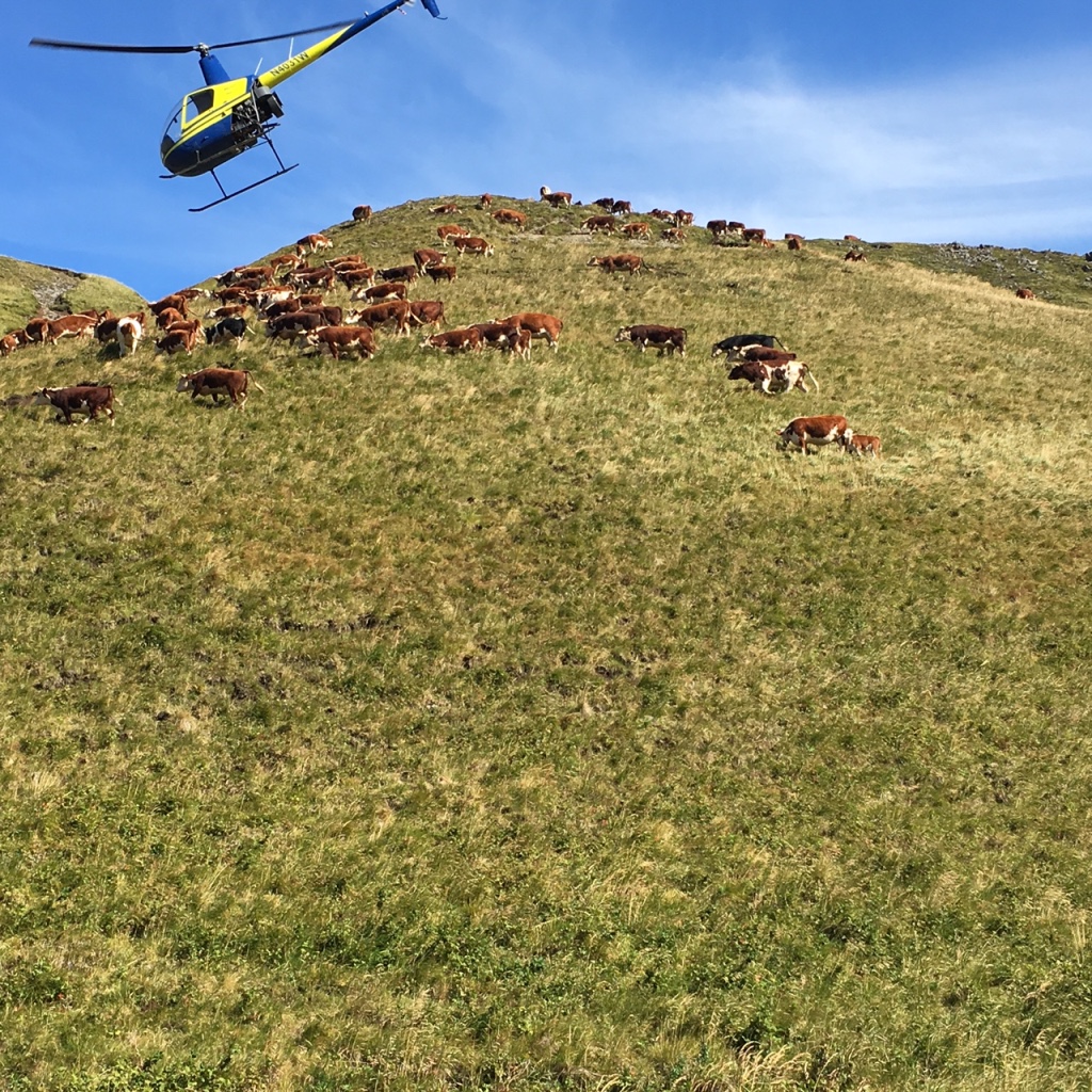 Bering Pacific Ranches Aleutian Islands, AK Icon Global Group
