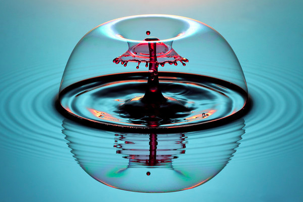 photography elements form photogenetic photography form