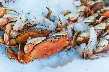 sea-crab-at-fish-market-QJ8ELBT.jpg