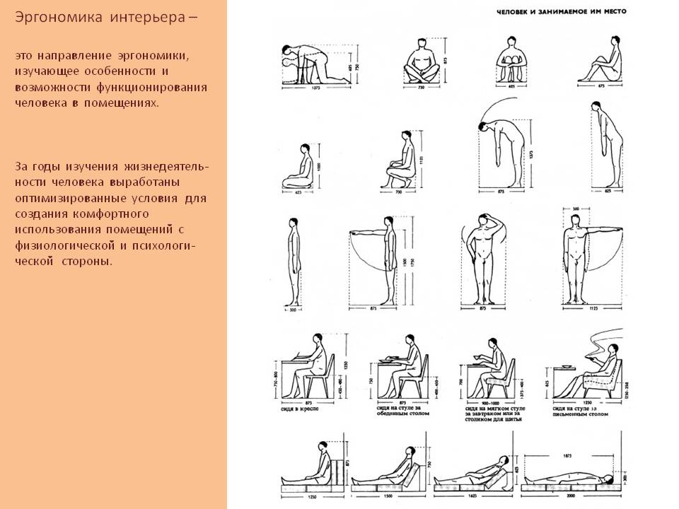 Что такое эргономика в дизайне среды Что такое эргономика в дизайне среды