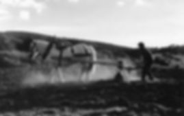 Logan plough b&w (1).jpeg