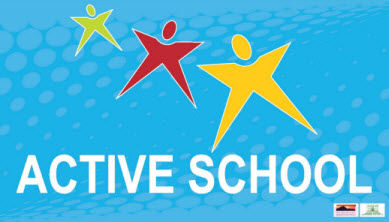 Image result for active school flag