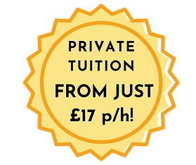 online lessons (3).png