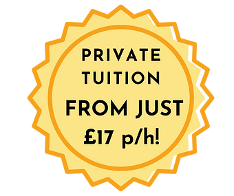 online lessons (3).png