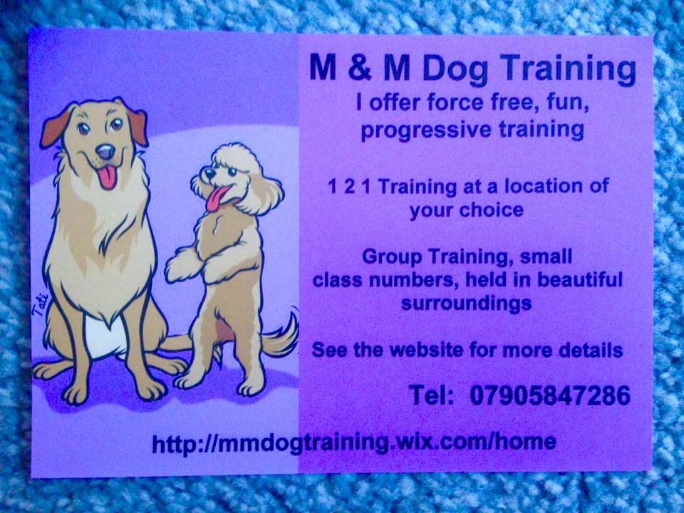 Training Essex M and M Dog Traing