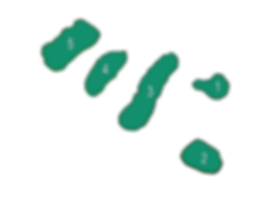 Fendick lake map.png