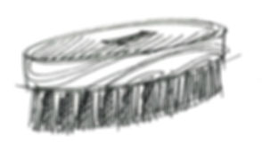 Brosse copie.jpg