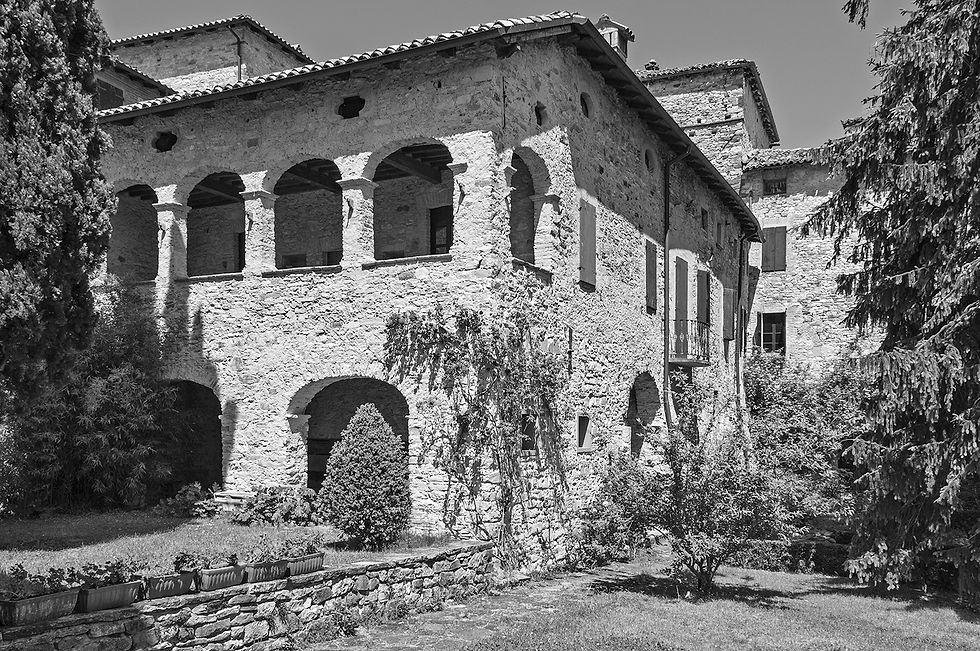 _DSC3561bw.jpg